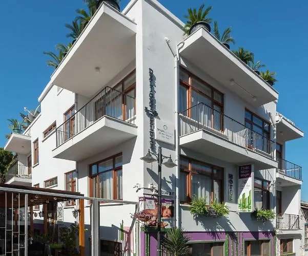 Delight Deluxe Hotel&spa 2* Antalya