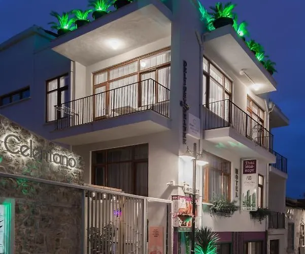 Delight Deluxe Hotel&spa Hotel